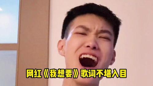 网图红哥,揭秘网络红人的崛起与影响力