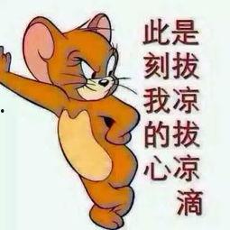 吃瓜群众图片真人,他们眼中的娱乐圈